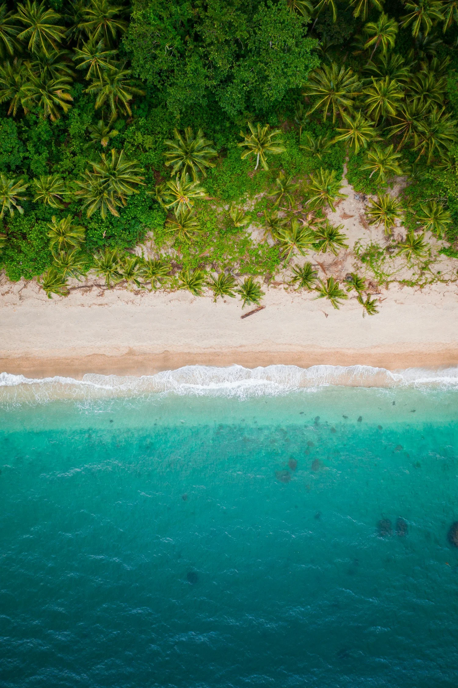 Aerial view of the flats and shoreline
