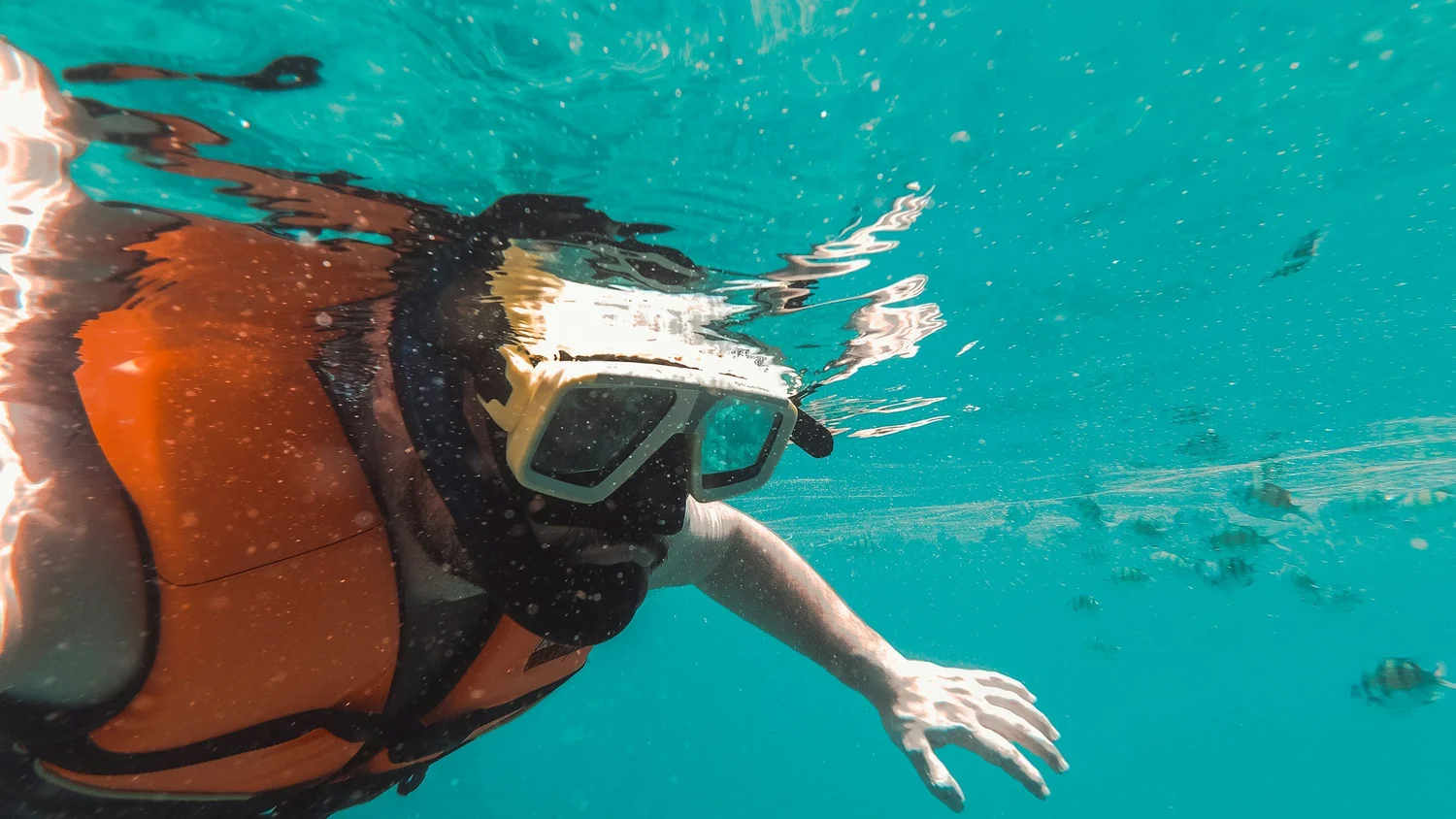 Snorkeler at the surface in turquoise water